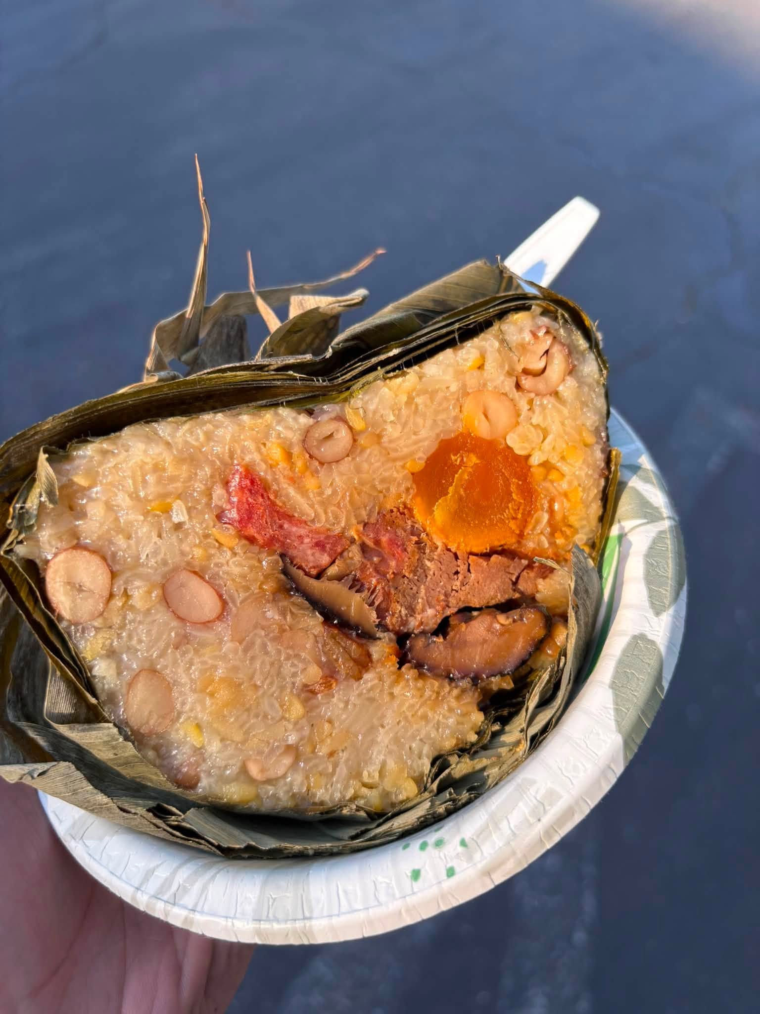 Teochew Zongzi (Sticky Rice Dumpling)