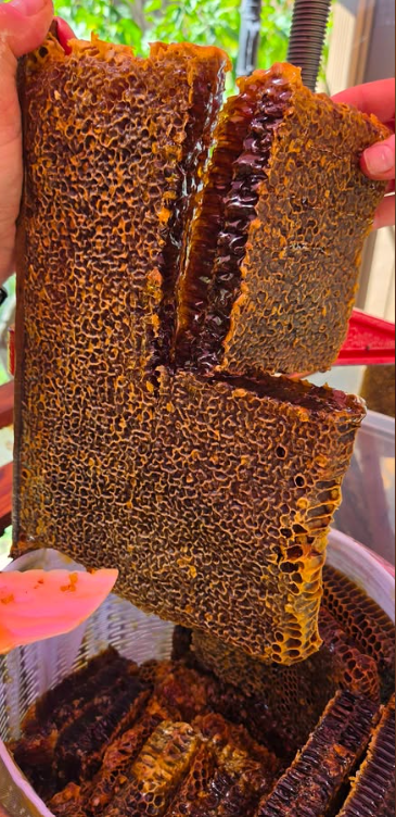 Honey Comb
