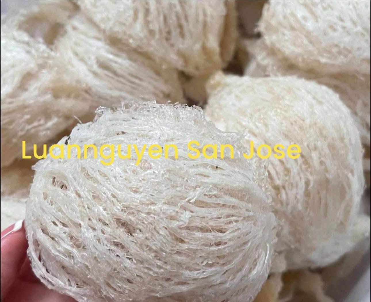 Grade 1 Extra-Large Whole Bird’s Nest