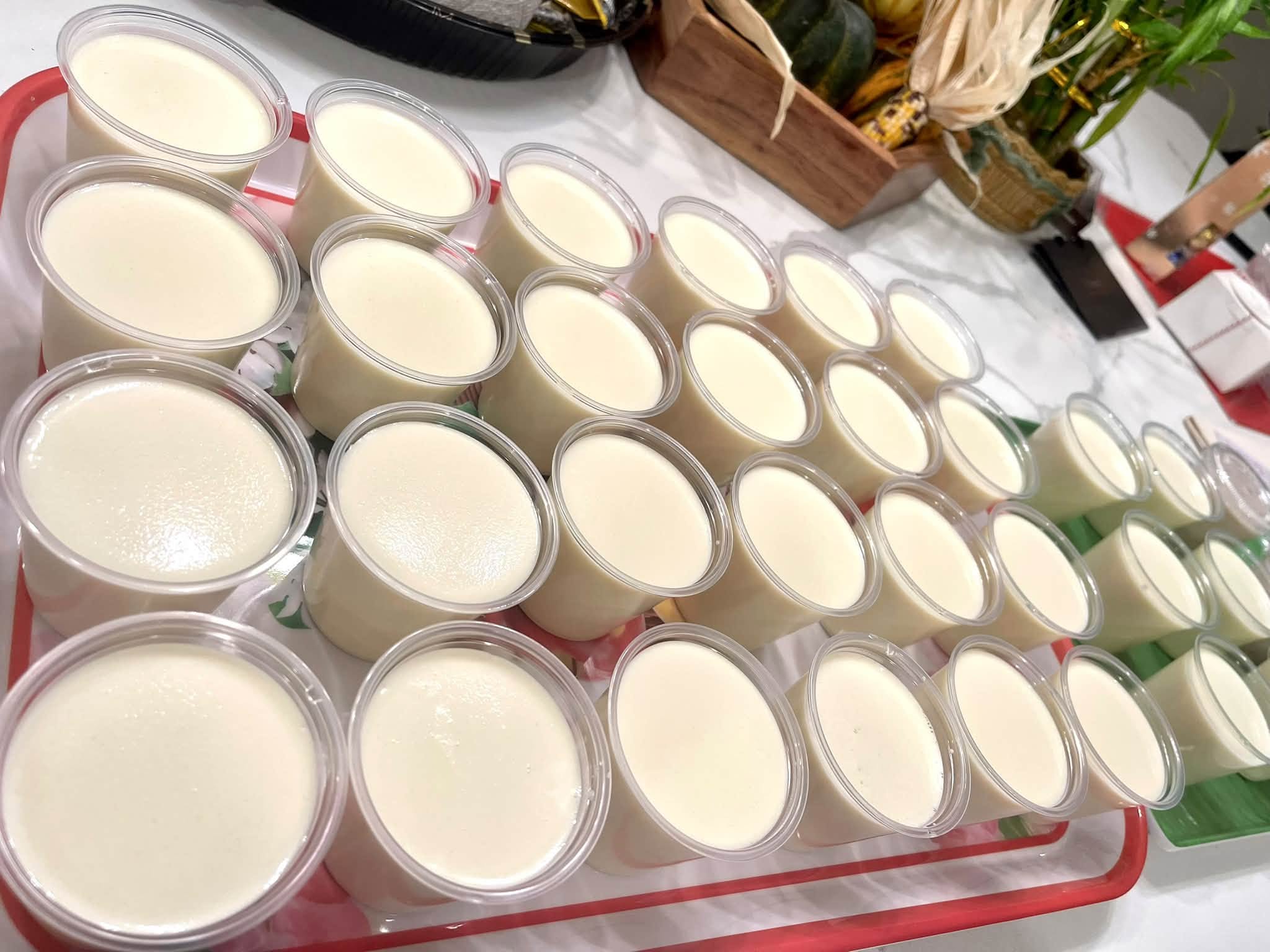 Regular Yogurt ($1.25 / 5.5oz jar)