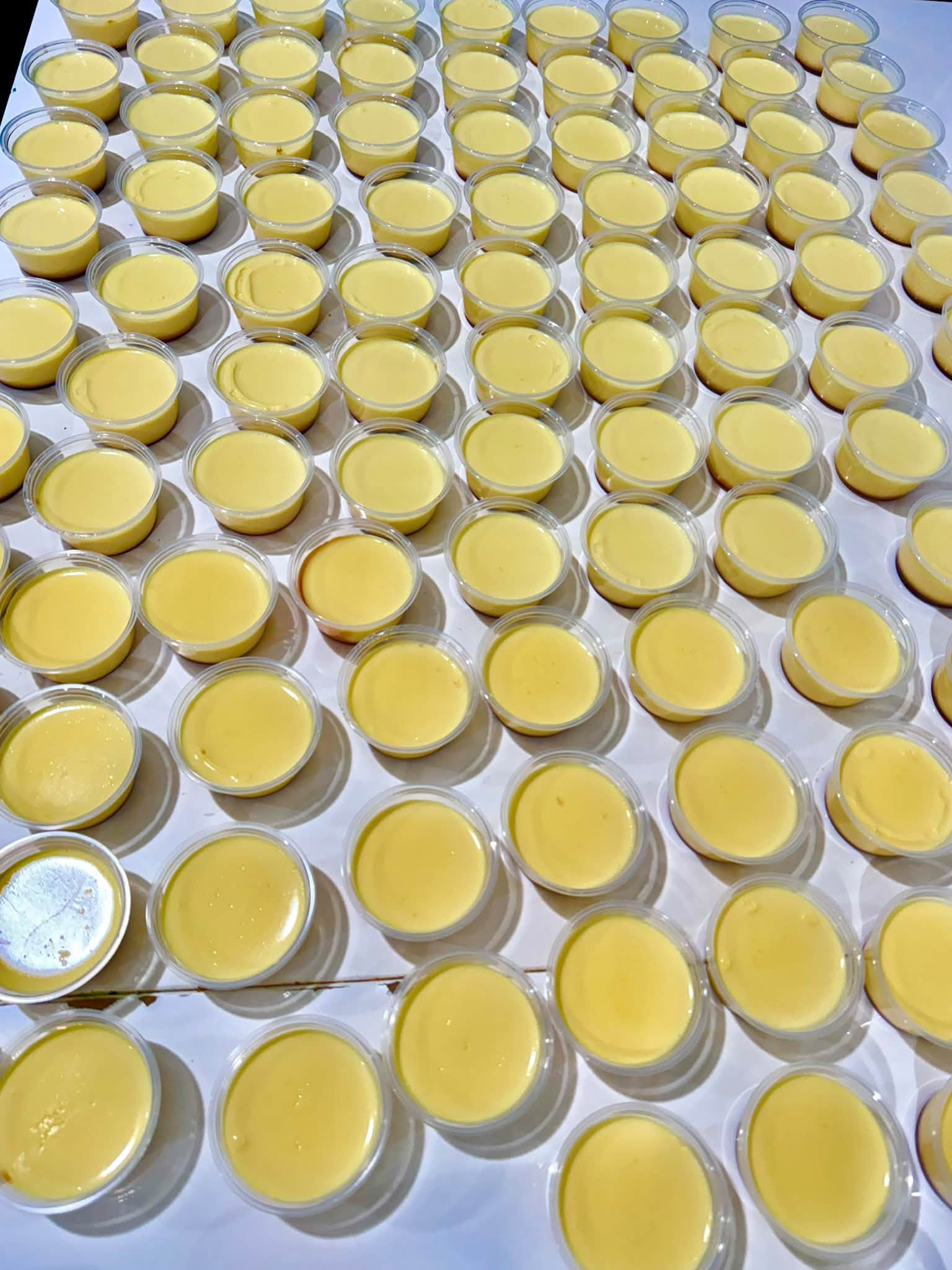 Mixed Variety Mini Jelly Tray (Flan & Regular) (65 pcs)