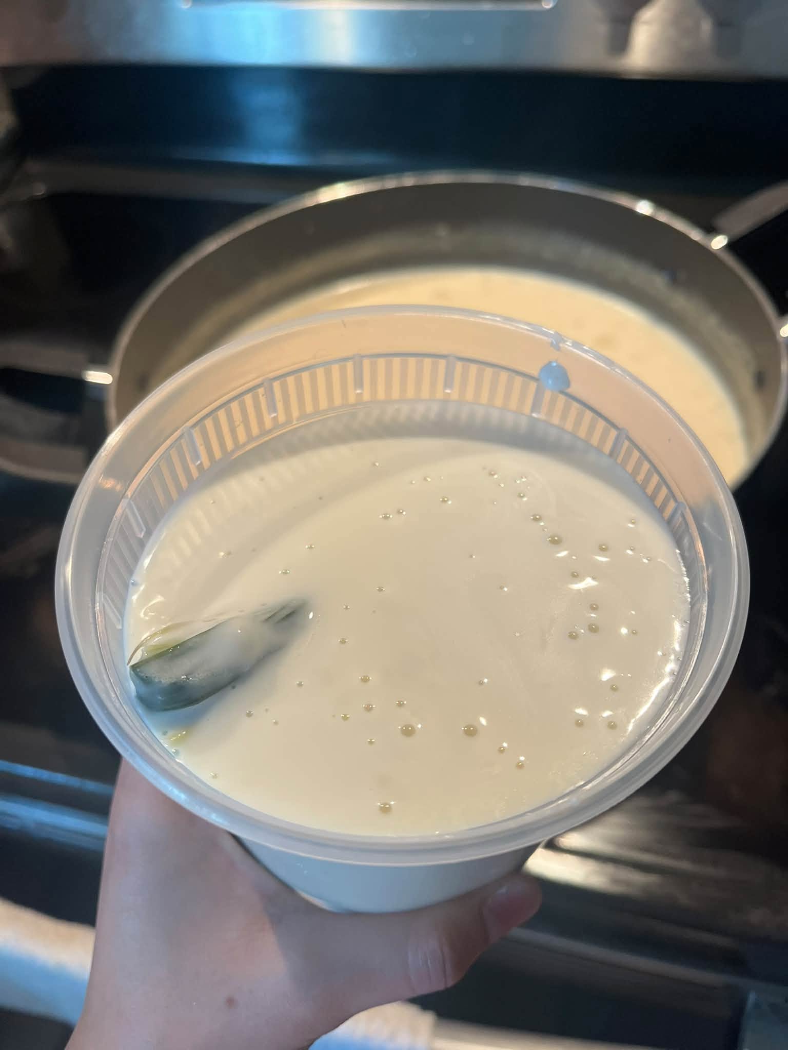 Pandan Silken Tofu Dessert - Tàu Hũ Lá Dứa